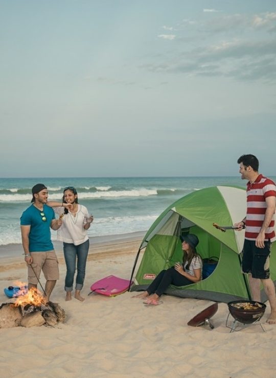 Your Gateway to Authentic Omani Experiences