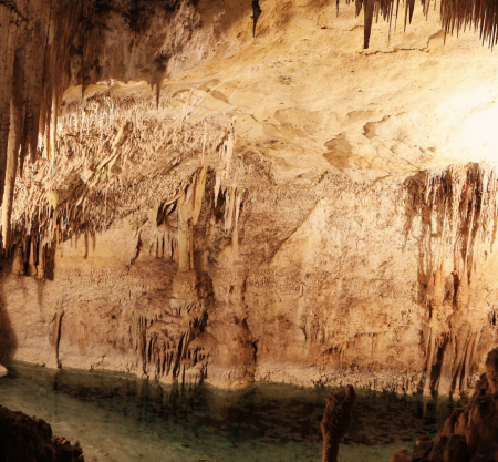 Nizwa & Al Hoota Caves Tour