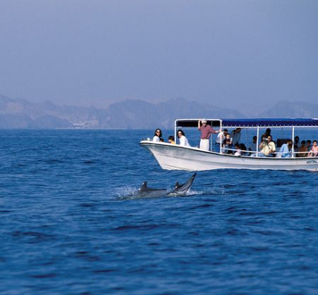 Dolphin Watching Muscat