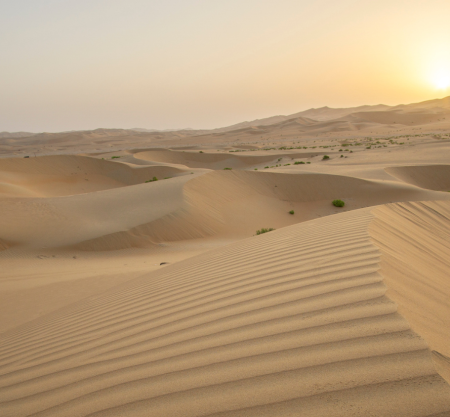 Rub Al Khali Sunset Desert Safari