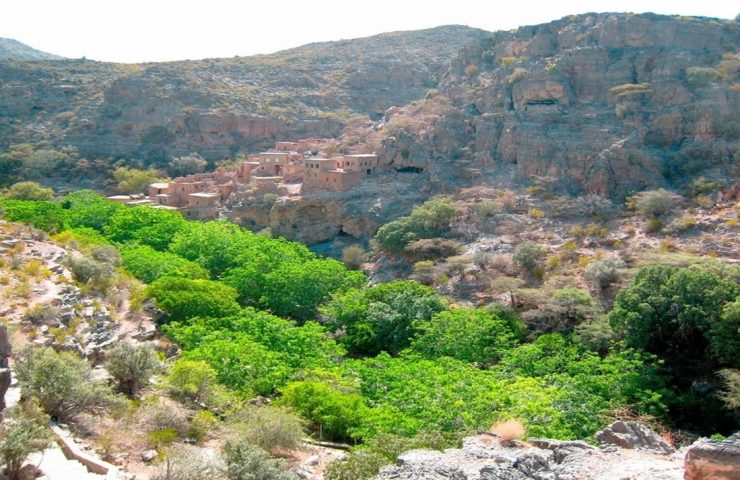 oman packages for travel agents