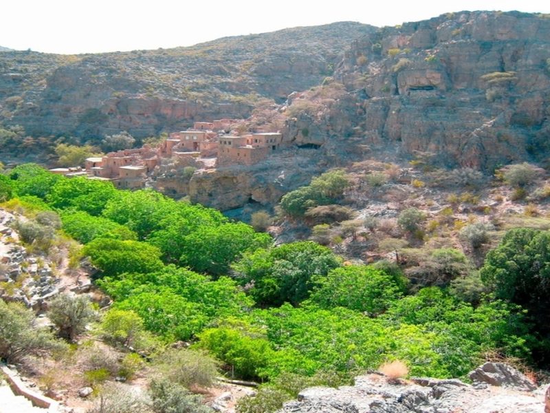 oman packages for travel agents