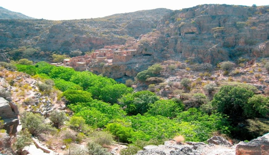 oman packages for travel agents