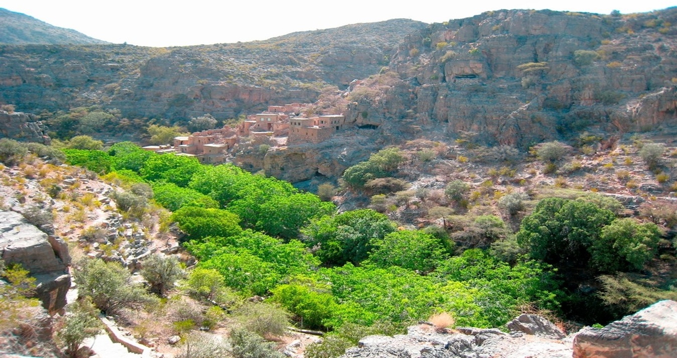 oman packages for travel agents