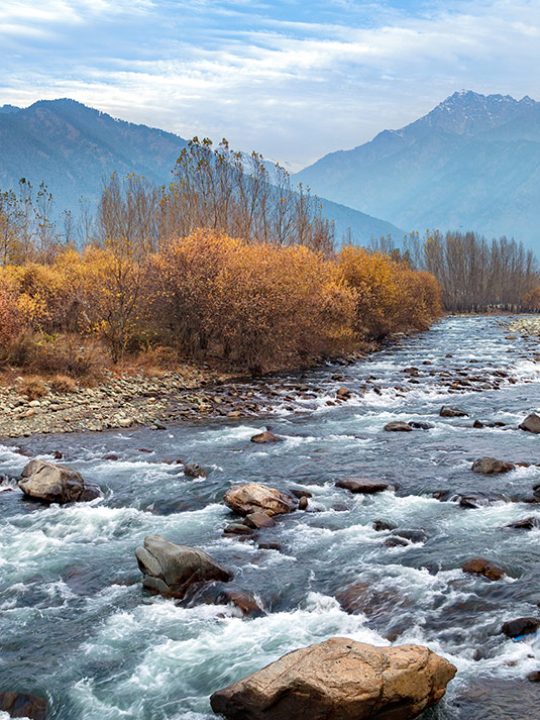 kashmir 6 Nights, 7 Days