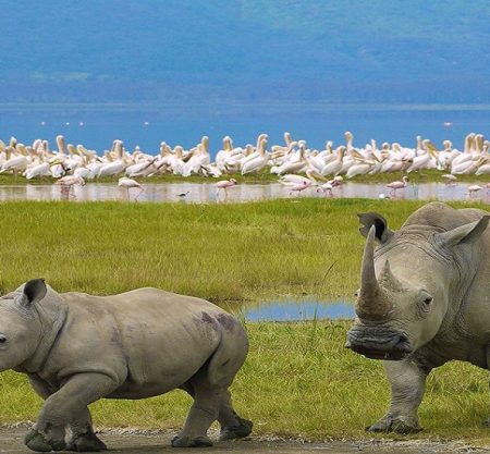 Lake-Nakuru-Naitional-Park