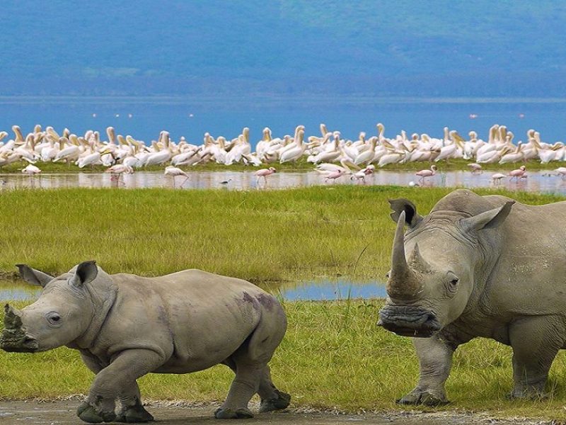 Lake-Nakuru-Naitional-Park