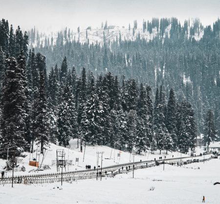 kashmir tour package surat